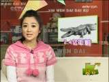 新闻袋袋裤 新闻袋袋裤 2009年 第280期