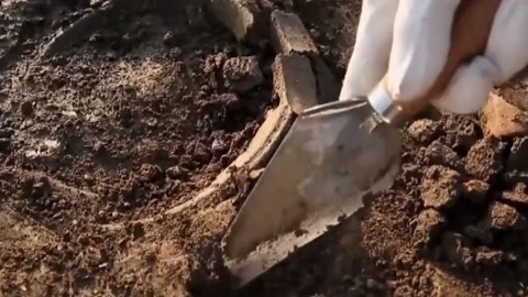 凤凰咀黄土台发现瓮棺 考古人员推测古城曾是军事据点
