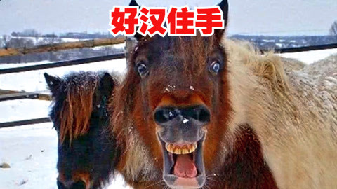 聚会损友出手防不胜防