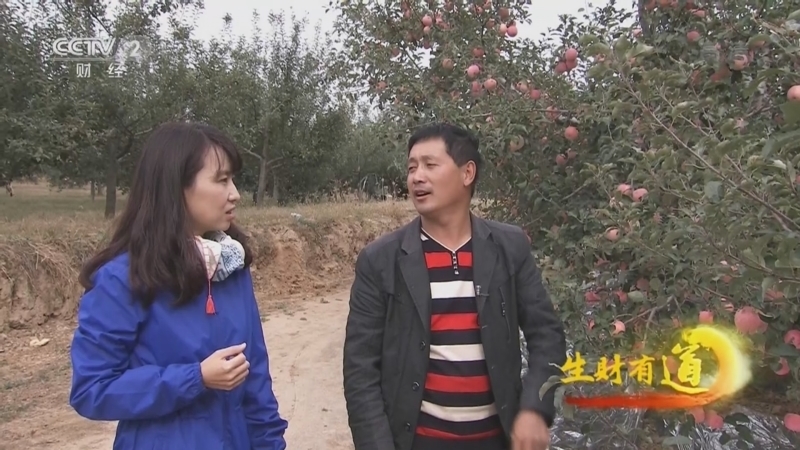 生财有道 《生财有道》 20221021 咱们家乡有特产——山西吉县：苹果甜美 产业成链