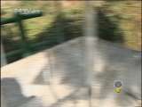 芝麻开门【央视】 壮乡密码 穿越古龙山