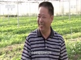 我爱发明 《我爱发明》 20160916 菜地理发师