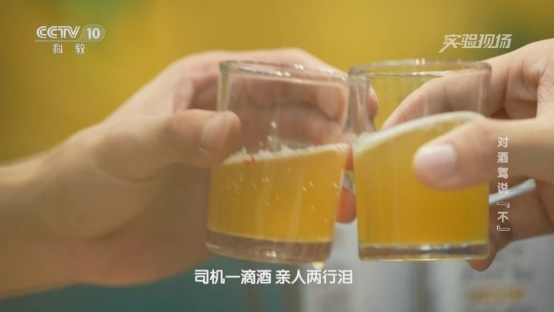 实验现场 《实验现场》 20230129 对酒驾说“不”