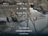 环球经济连线 《环球财经连线》 20171007