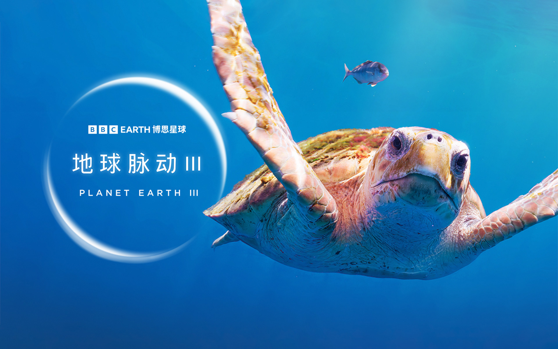 地球脉动 第三季 波涛之下