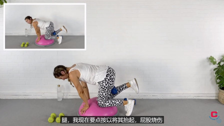 BOSU 波速球 半球训练 核心肌肉加强