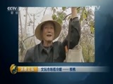 消费主张 《消费主张》 20151120 文玩市场看冷暖——核桃
