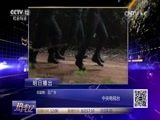 热线12 《热线12》 20170619 内蒙古牙克石：瘾君子露端倪 警方跨省斩断毒网