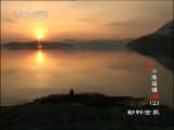 动物世界 动物世界 2010年 第46期