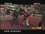 远方的家 《沿海行特别节目》新体验 新挑战《远方的家》 20120518