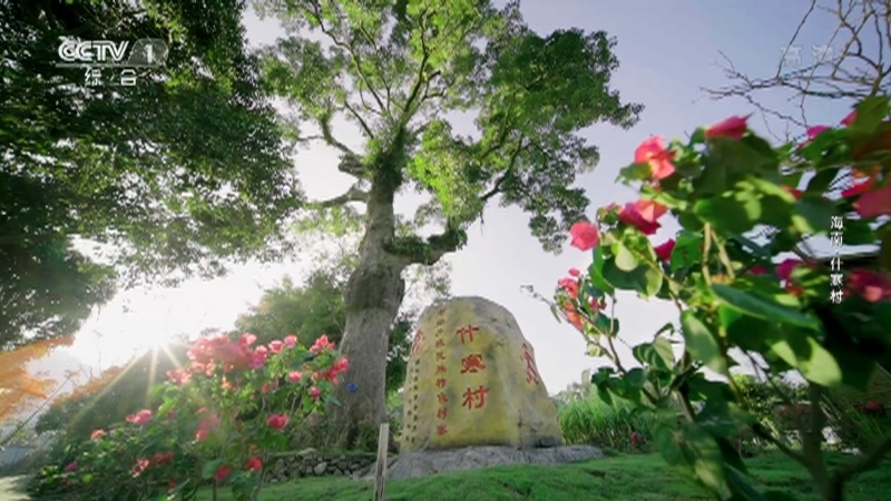 《山水间的家》 20221224