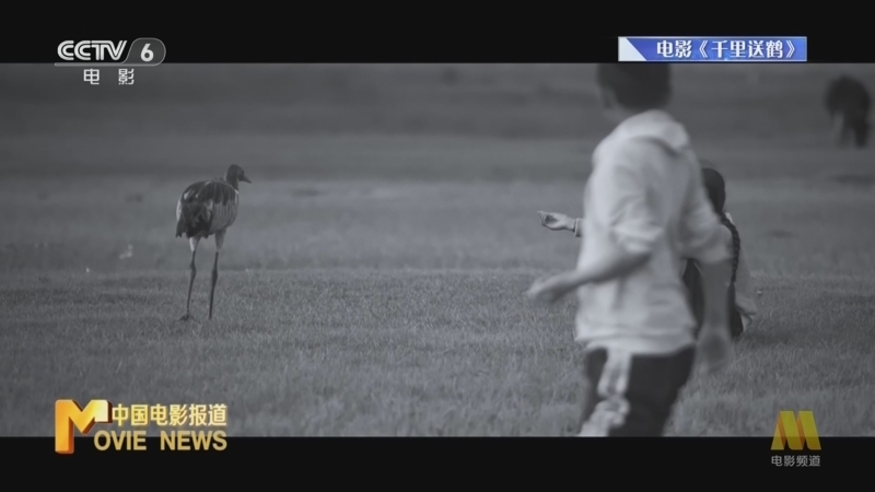 中国电影报道 《电影快讯》 20231204