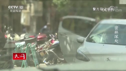 天网 《天网》 20200610 密林深处