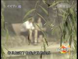 道德观察 道德观察（日播版） 2010年 第330期 妈妈有多少秘密（下）