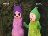 小小智慧树 《小小智慧树》 20160530 10：00