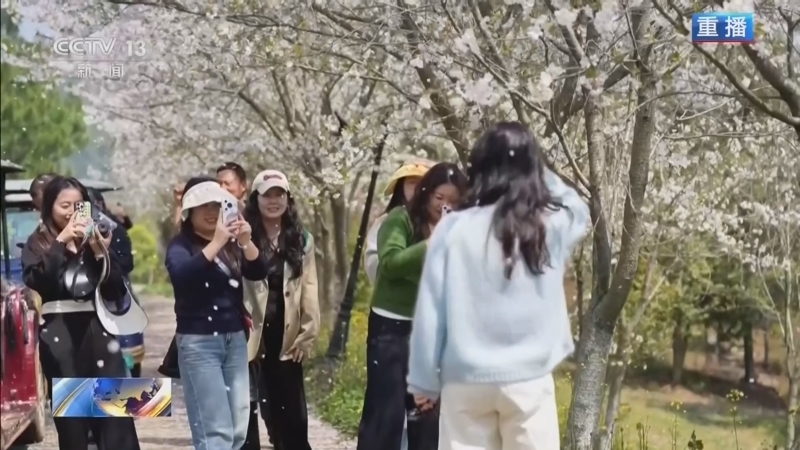 《新闻1+1》 20260408 全国服务业大会，要打通哪些堵点？