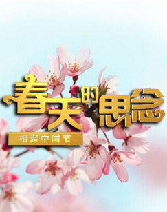 2017相聚中国节春天的思念特别节目 海报