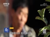 道德观察 《道德观察（日播版）》 20180722 本案正在执行