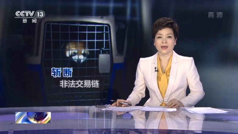法治在线 《法治在线》 20220121