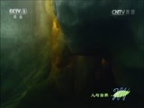 人与自然 《人与自然》 20160602 冰冻星球——夏季（下）