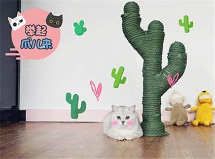 举起爪儿来 DIY仙人掌猫抓柱