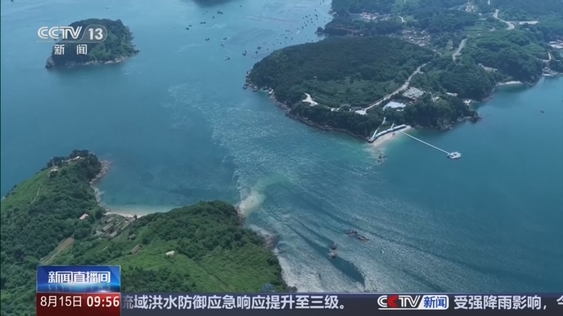 新闻直播间 《新闻直播间》 20260815 09:00