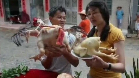 四海漫游 神秘的桃园幽岛