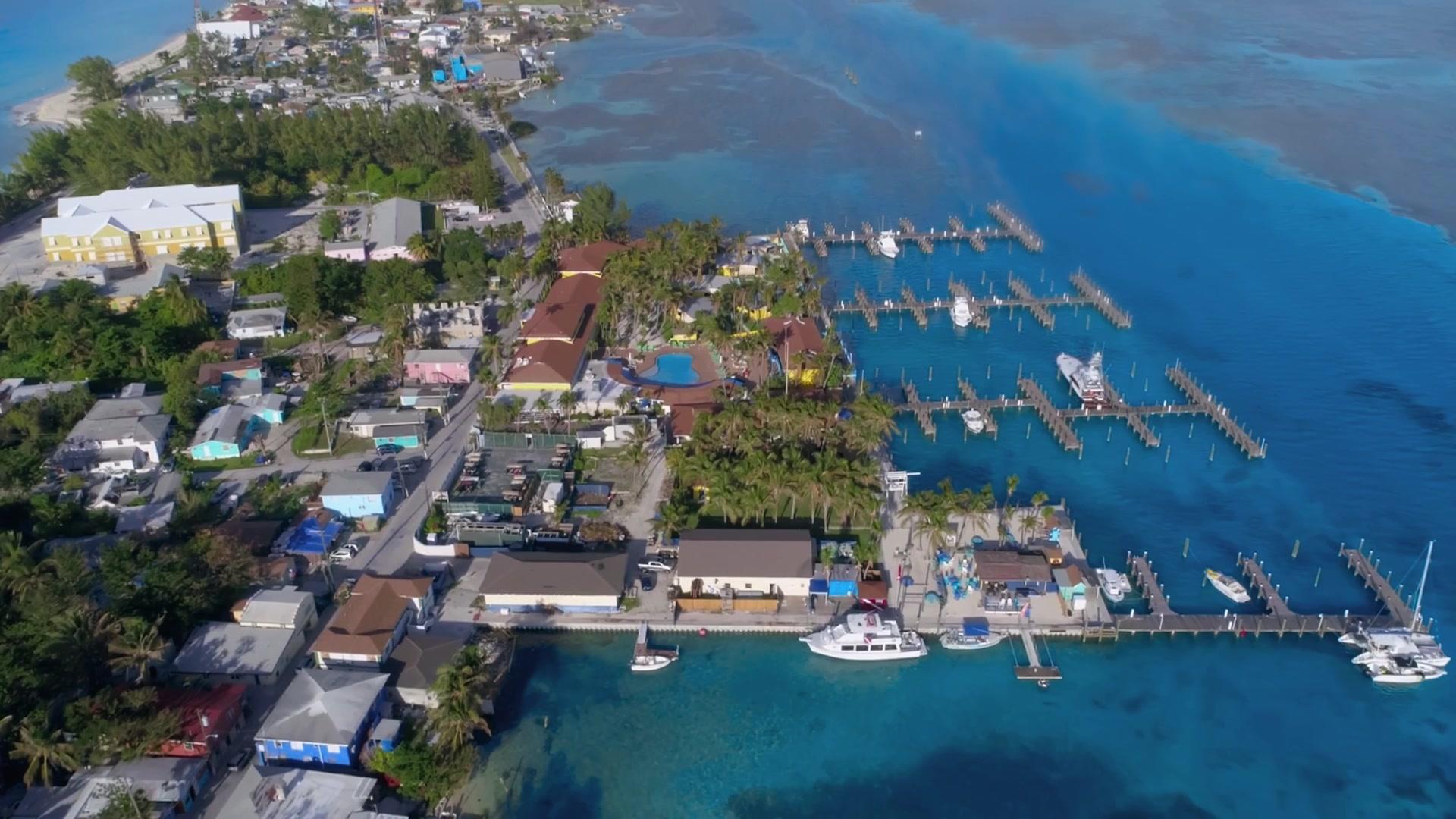 鲨鱼攻击实录第二季 第4集