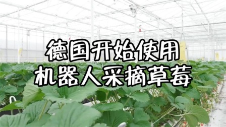 机械控 德国人是怎么采摘水果的？全自动机械化，这样的机器靠谱吗