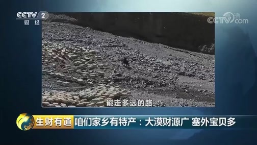 生财有道 《生财有道》 20181130 咱们家乡有特产：大漠财源广 塞外宝贝多