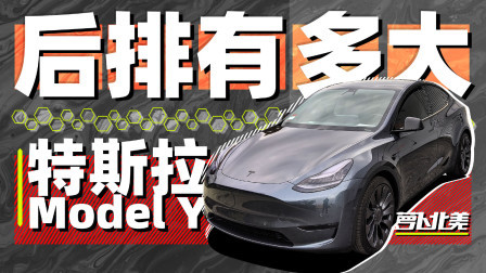 萝卜报告 2020 试完Model Y，我把毛豆3给退了