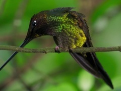地球脉动 第二季（Planet Earth II ）（普通话版）第3集：雨林