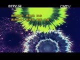 周末动画片 《周末动画片》 20150628 18:21