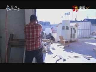 名师公开课 《I'll help to clean up the city parks.(SectionB 1a~1e)》授课教师：林莹