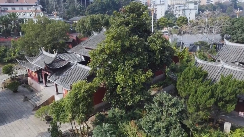 《台湾·1945》 第1集 还我河山