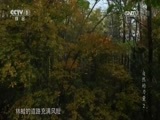 魅力纪录（CCTV-1综合频道） 《自然的力量》 第二集 山峙