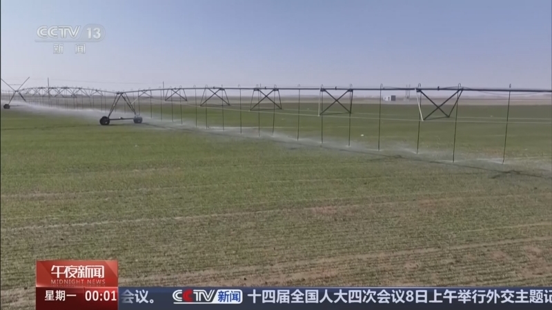 《午夜新闻》 20260309