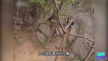 综艺最劲爆 2016 西游记被玩坏 群星恶搞台词引爆笑 06