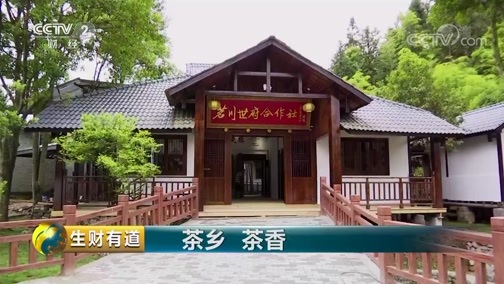 生财有道 《生财有道》 20190718 茶乡 茶香