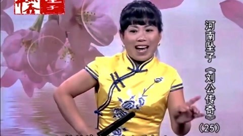 河南坠子 坠子《刘公传奇》胡银花