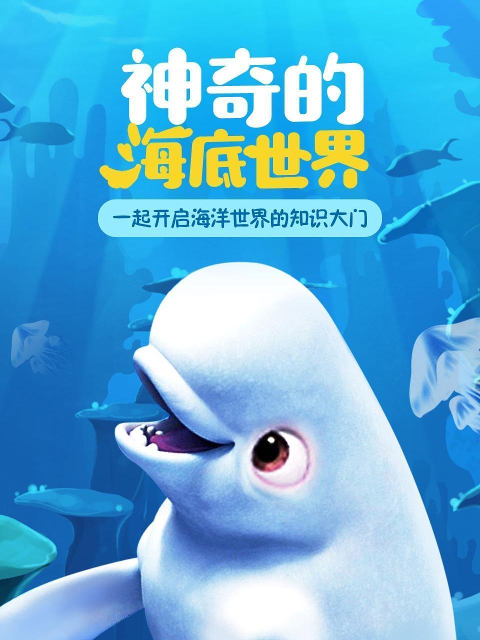 神奇的海洋世界