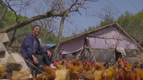 觅食迹 洪七公的快意人生