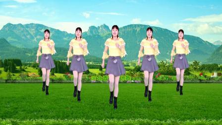 动感广场舞《妹妹的酒》简单32步附教学