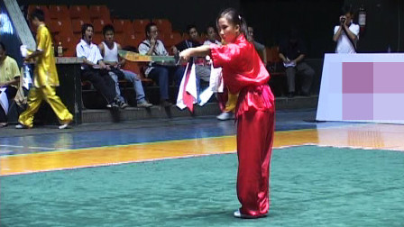 尘封赛事 2005年全国武术套路冠军赛传统项目比赛 女子器械 040 女子双刀 徐燕燕（石化）