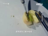 走近科学 《走近科学》 20151013 种质资源库