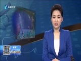 东南晚报 《东南晚报》 20160329