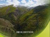 探索发现 《探索发现》 20180606 新疆味道（六）