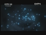 天网 《天网》 20120621 分手之夜