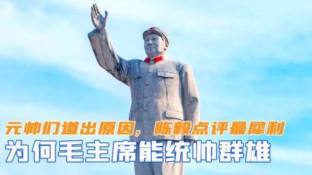 华夏史录 为何毛主席能统帅群雄？元帅们道出真正原因，陈毅点评的最犀利