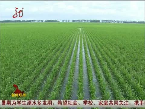 全省新闻联播 《全省新闻联播》 20140622
